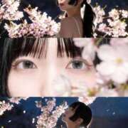 ヒメ日記 2026/03/25 18:27 投稿 つばき THE ESUTE 渋谷