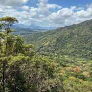 ヒメ日記 2025/10/23 21:44 投稿 まろん 奥様はエンジェル　国分寺店