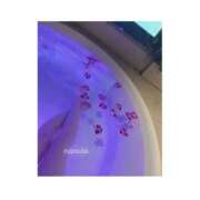 ヒメ日記 2025/04/19 08:30 投稿 ななせ 和楽(わらく)