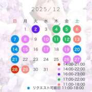 鮭乃きりみ 🐟12月シフト🐟 CLUB39（クラブサンキュー）