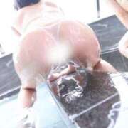 ヒメ日記 2025/04/17 19:50 投稿 うさぎ ごほうびSPA池袋店