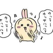 ヒメ日記 2025/05/16 01:34 投稿 うさぎ ごほうびSPA池袋店