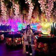 ヒメ日記 2025/04/17 00:16 投稿 せつな 吉原ファーストレディ