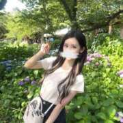 ヒメ日記 2025/06/26 18:46 投稿 せつな 吉原ファーストレディ