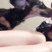 ヒメ日記 2025/07/02 20:30 投稿 ★咲良ゆうり★ CLUB39（クラブサンキュー）