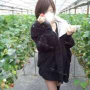 ヒメ日記 2025/11/01 14:42 投稿 ★咲良ゆうり★ CLUB39（クラブサンキュー）