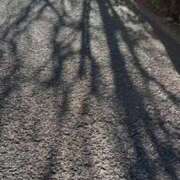 ヒメ日記 2025/12/26 12:38 投稿 ★咲良ゆうり★ CLUB39（クラブサンキュー）