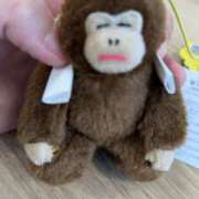 ヒメ日記 2025/11/25 17:46 投稿 まこと Gossip girl成田店