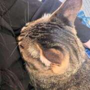 ヒメ日記 2026/01/03 13:01 投稿 まこと Gossip girl成田店