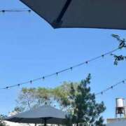 ヒメ日記 2025/10/03 17:16 投稿 ほたる ラブ・アンド・ラブ