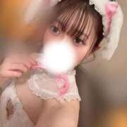 ヒメ日記 2025/11/27 06:16 投稿 ほたる ラブ・アンド・ラブ