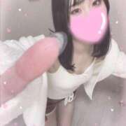 ヒメ日記 2025/03/31 16:02 投稿 しろ Gossip girl成田店