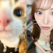 ヒメ日記 2025/06/20 19:09 投稿 らん NEW　KAWAII(ニューカワイイ）