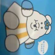 ヒメ日記 2025/09/17 01:59 投稿 うりん 白いぽっちゃりさん五反田店