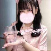 ヒメ日記 2025/11/19 10:59 投稿 うりん 白いぽっちゃりさん五反田店