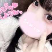 ヒメ日記 2025/11/23 11:19 投稿 うりん 白いぽっちゃりさん五反田店