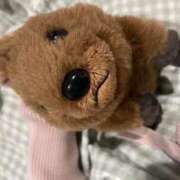 ヒメ日記 2026/02/26 14:39 投稿 うりん 白いぽっちゃりさん五反田店