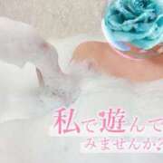 ヒメ日記 2025/04/15 09:56 投稿 りこ 横浜ひよこ倶楽部