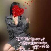 ヒメ日記 2025/04/16 14:06 投稿 りこ 横浜ひよこ倶楽部