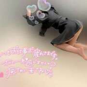 ヒメ日記 2025/04/16 16:56 投稿 りこ 横浜ひよこ倶楽部