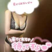 ヒメ日記 2025/05/07 13:06 投稿 りこ 横浜ひよこ倶楽部