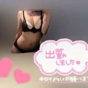 ヒメ日記 2025/05/21 10:36 投稿 りこ 横浜ひよこ倶楽部