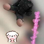 ヒメ日記 2025/05/26 10:16 投稿 りこ 横浜ひよこ倶楽部