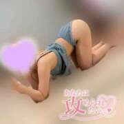 ヒメ日記 2025/05/29 11:46 投稿 りこ 横浜ひよこ倶楽部