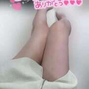 ヒメ日記 2025/06/06 14:16 投稿 りこ 横浜ひよこ倶楽部