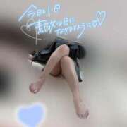 ヒメ日記 2025/06/13 15:15 投稿 りこ 横浜ひよこ倶楽部