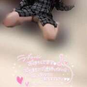 ヒメ日記 2025/06/17 09:46 投稿 りこ 横浜ひよこ倶楽部