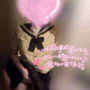 ヒメ日記 2025/06/18 10:06 投稿 りこ 横浜ひよこ倶楽部