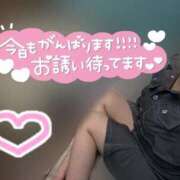 ヒメ日記 2025/07/17 10:06 投稿 りこ 横浜ひよこ倶楽部