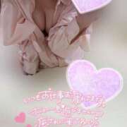 ヒメ日記 2025/07/28 18:06 投稿 りこ 横浜ひよこ倶楽部