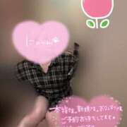 ヒメ日記 2025/07/29 20:27 投稿 りこ 横浜ひよこ倶楽部