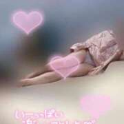 ヒメ日記 2025/09/13 10:36 投稿 りこ 横浜ひよこ倶楽部