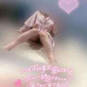 ヒメ日記 2025/09/13 13:26 投稿 りこ 横浜ひよこ倶楽部