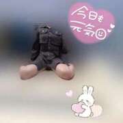 ヒメ日記 2025/09/15 10:27 投稿 りこ 横浜ひよこ倶楽部