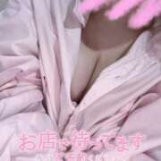 ヒメ日記 2025/09/20 10:36 投稿 りこ 横浜ひよこ倶楽部