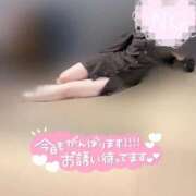 ヒメ日記 2025/09/21 18:46 投稿 りこ 横浜ひよこ倶楽部