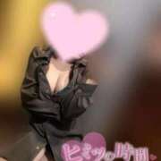 ヒメ日記 2025/09/28 10:00 投稿 りこ 横浜ひよこ倶楽部