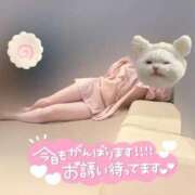 ヒメ日記 2025/10/08 14:23 投稿 りこ 横浜ひよこ倶楽部