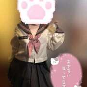 ヒメ日記 2025/10/26 10:06 投稿 りこ 横浜ひよこ倶楽部