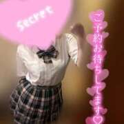 ヒメ日記 2025/10/26 12:07 投稿 りこ 横浜ひよこ倶楽部