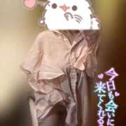 ヒメ日記 2025/11/08 10:07 投稿 りこ 横浜ひよこ倶楽部