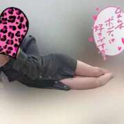 ヒメ日記 2025/11/17 14:46 投稿 りこ 横浜ひよこ倶楽部