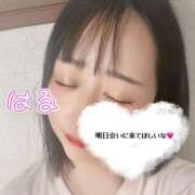 ヒメ日記 2025/05/25 14:09 投稿 はる 西船人妻花壇