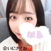 ヒメ日記 2025/05/31 09:25 投稿 はる 西船人妻花壇