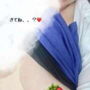 ヒメ日記 2025/08/12 11:40 投稿 はる 西船人妻花壇