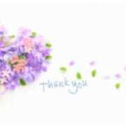 ヒメ日記 2025/09/01 14:59 投稿 はる 西船人妻花壇